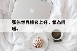 leyu体育-张伟世界排名上升，状态回暖。