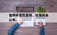 leyu体育-世界杯受伤离场，伤情尚未公布。