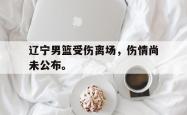 乐鱼体育APP下载-辽宁男篮受伤离场，伤情尚未公布。