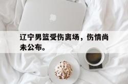 乐鱼体育APP下载-辽宁男篮受伤离场，伤情尚未公布。