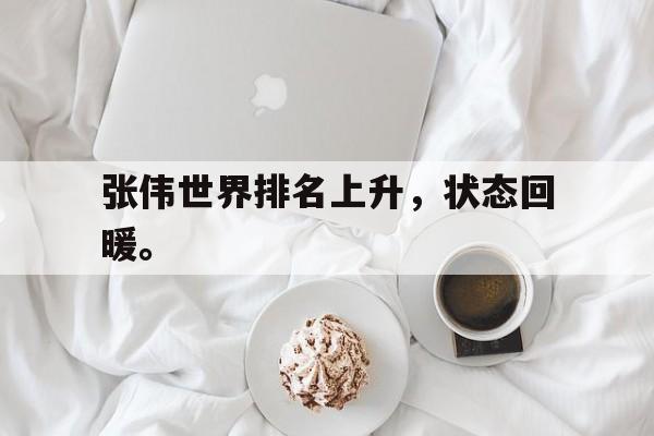 张伟世界排名上升，状态回暖。