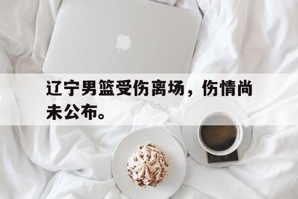 辽宁男篮受伤离场，伤情尚未公布。