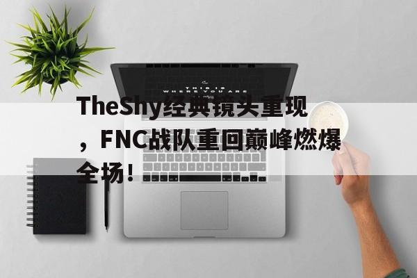 TheShy经典镜头重现，FNC战队重回巅峰燃爆全场！